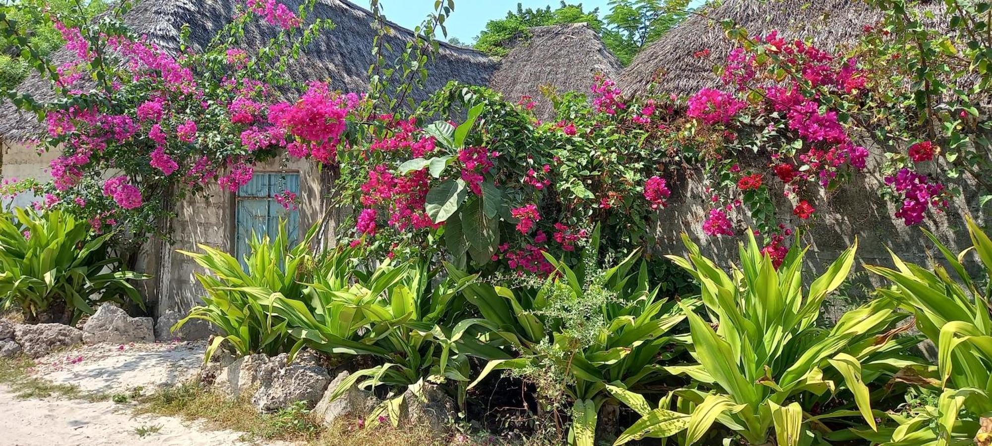 Morningstar Bungalows Zanzibar Матемве Экстерьер фото